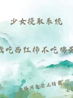 少女提取系統(tǒng)